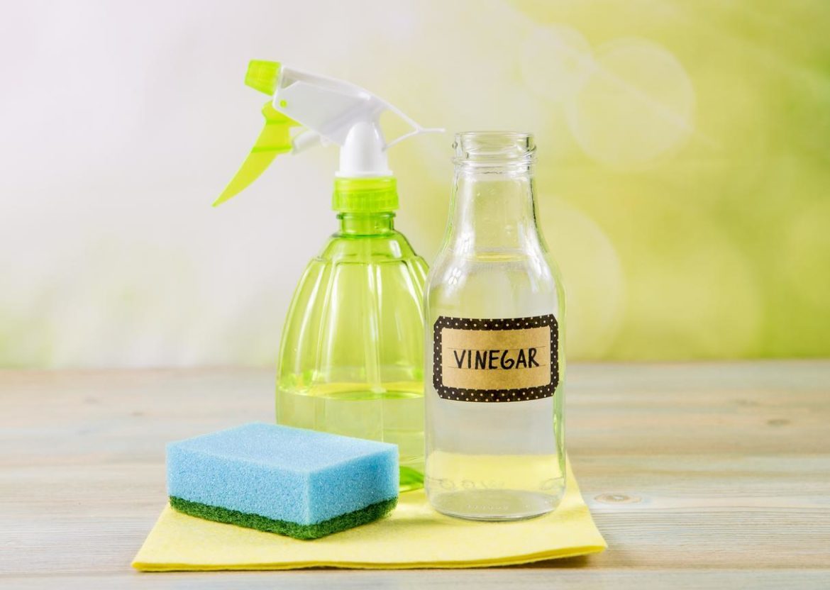 White Vinegar Vs. Cleaning Vinegar: What's The Difference? - Go Get ...